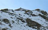 Motoalpinismo in Valtellina - 125